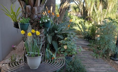 Spring is in the air